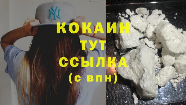 шишки Новозыбков