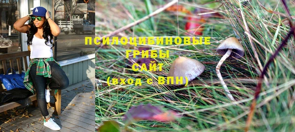 PSILOCYBIN Арсеньев