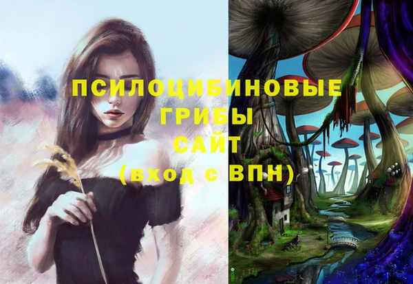бошки Аркадак