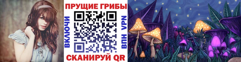 Псилоцибиновые грибы мицелий  Иланский 